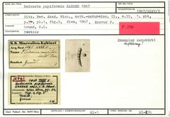 Karteikarte zum Holotyp von Nodosaria pupiformis Karrer, 1867